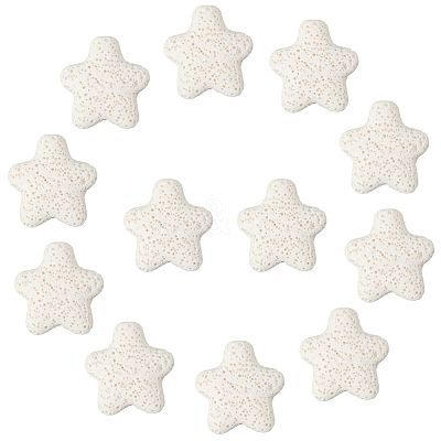 24Pcs Star Synthetic Lava Rock Beads G-PA0002-25B-1