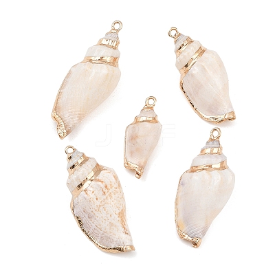5Pcs Electroplated Natural Shell Pendants BSHE-YW0001-10-1