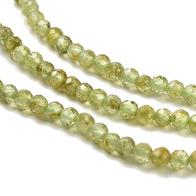 Natural Peridot Beads Strands G-B107-A06-01-1