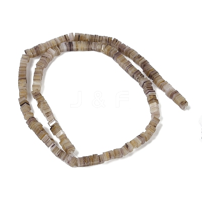 Handmade Lampwork Beads Strands LAMP-Q037-02A-05-1