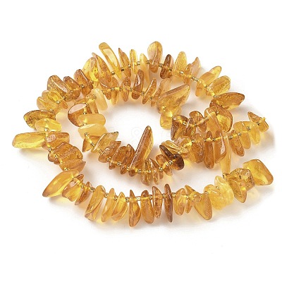 Natural Amber Beads Strands G-L095-D01-03-1