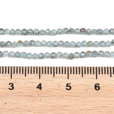 Natural Apatite Beads Strands G-RM250104-C5-1