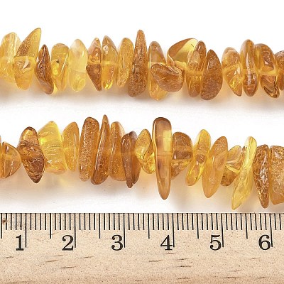 Natural Amber Beads Strands G-L095-D01-06-1