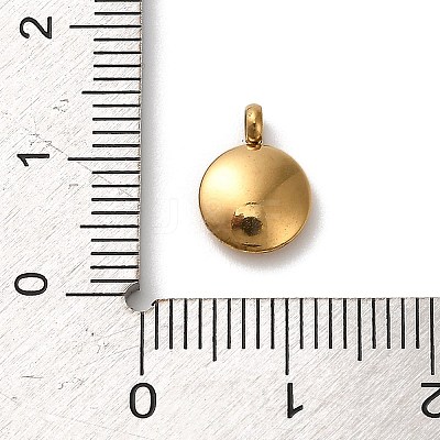 304 Stainless Steel Black Enamel Charms STAS-R009-02G-07-1
