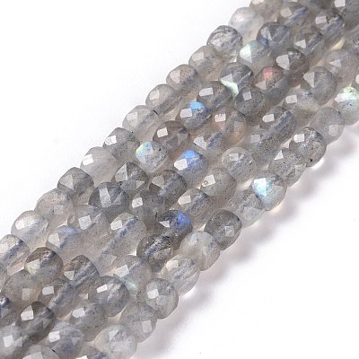 Natural Labradorite Beads Strands G-D0003-B10-1