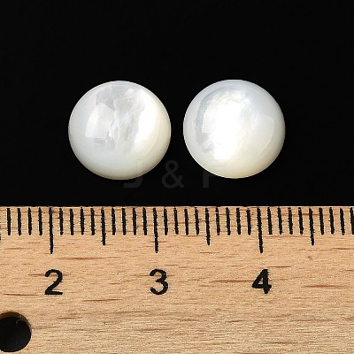 Natural White Shell Cabochons SSHEL-M022-01C-1