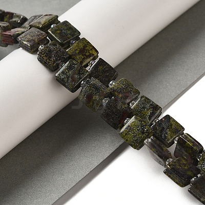 Natural Dragon Blood Jasper Beads Strands G-L596-A06-01-1