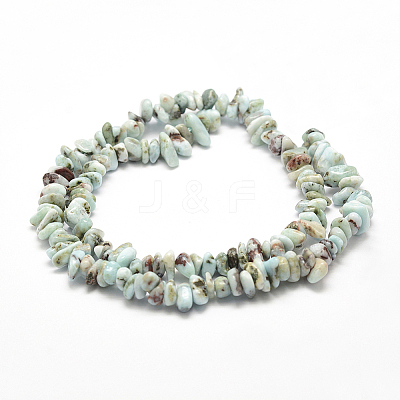 Natural Larimar Beads Strands G-P302-03-1