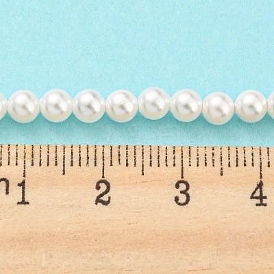 Electroplated Shell Pearl Beads Strands SHEL-F008-03A-01-1