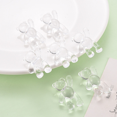 Transparent Acrylic Beads MACR-S373-01B-205-1