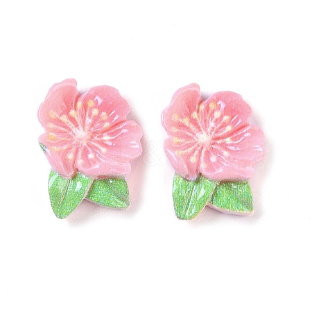 Opaque Resin Decoden Cabochons LS-CRES-O002-03C-1