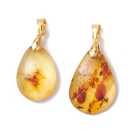 Natural Amber Pendants PALLOY-JF05260-01-1