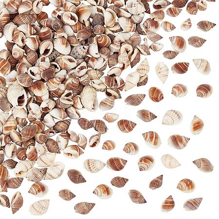 Natural Spiral Shell Beads SSHEL-NB0001-14-1