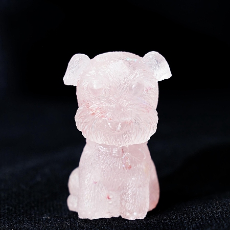 Resin Craft Display Decorations DJEW-PW0021-33A-1