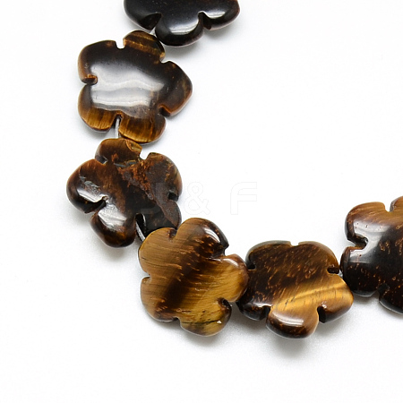 Natural Tiger Eye Bead Strands G-T003-16mm-07-1