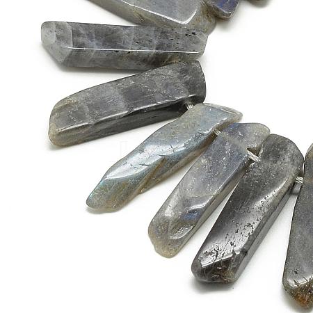 Natural Labradorite Beads Strands G-R419-03-1