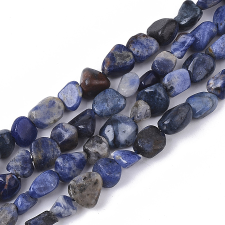 Natural Sodalite Beads Strands G-S363-045-1