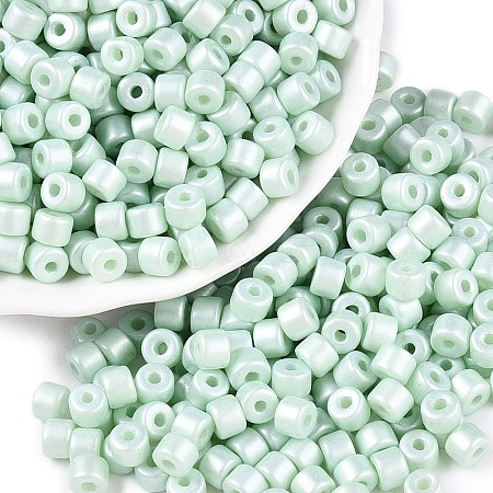 Baking Paint Pearlized Glass Seed Beads SEED-T008-03P-1