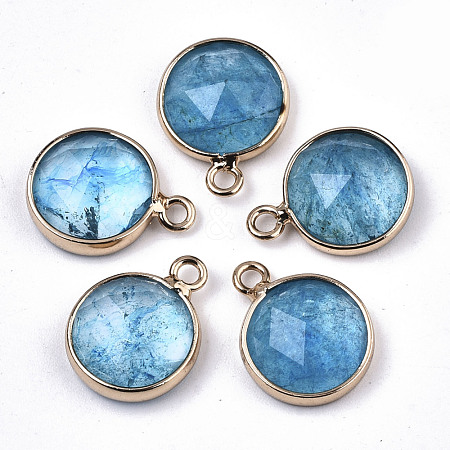 Glass Charms GLAA-N040-005C-1