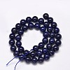 Dyed Natural Lapis Lazuli Round Beads Strands G-M169-4mm-05-2