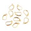 304 Stainless Steel Leverback Earring Findings STAS-K233-04G-2