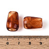 Two Tone Transparent Acrylic European Beads OACR-N157-04-3