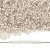 TOHO 6/0 Demi Round Beads SEED-DR06-PF21F-5