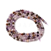 Natural Amethyst Lace Agate Bead Strands G-L629-B08-2mm-3
