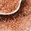 8/0 Glass Seed Beads SEED-Z001-C-E10-1
