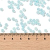 Glass Seed Beads SEED-H002-H-1304-4