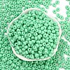 Imitation Jade Glass Seed Beads SEED-Z001-A-B10-2