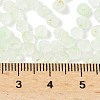 Frosted Glass Beads FGLA-D300-01-6