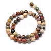 Natural Polychrome Agate Round Bead Strands G-P075-28-8mm-2