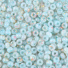 6/0 Glass Seed Beads SEED-N008-07C-3