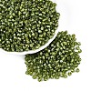 Picasso Baking Paint Glass Seed Beads SEED-N007-37H-1