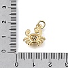 Brass Micro Pave Clear Cubic Zirconia Charms KK-E802-05G-3