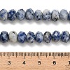 Natural Blue Spot Jasper Beads Strands G-Z111-A32-6