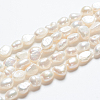 Natural Cultured Freshwater Pearl Beads Strands PEAR-R064-56-5