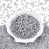 Glass Seed Beads SEED-N007-01K-2