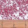 MIYUKI Delica Beads X-SEED-J020-DB0362-4