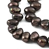 Dyed Natural Cultured Freshwater Pearl Beads Strands PEAR-A006-19B-4