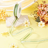 Polyester Lace Ribbon OCOR-TADJ0001-07B-5