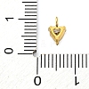 304 Stainless Steel Micro Pave Cubic Zirconia Pendants STAS-U042-02A-G-3
