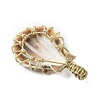 Dyed Natural Scallop Shell Big Pendants PALLOY-TA00194-5