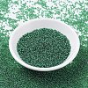 MIYUKI Round Rocailles Beads SEED-X0054-RR0173-3