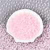 Baking Paint Glass Seed Beads GLAA-T023-43J-1