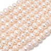 Natural Cultured Freshwater Pearl Beads Strands PA-CBABE82-06C-2