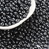 6/0 Glass Seed Beads SEED-L011-08A-10-1