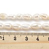 Natural Keshi Pearl Cultured Freshwater Pearl Beads Strands PEAR-P062-34-5