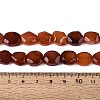 Dyed & Heated Natural Agate Beads Strands G-N359-15A-08-5